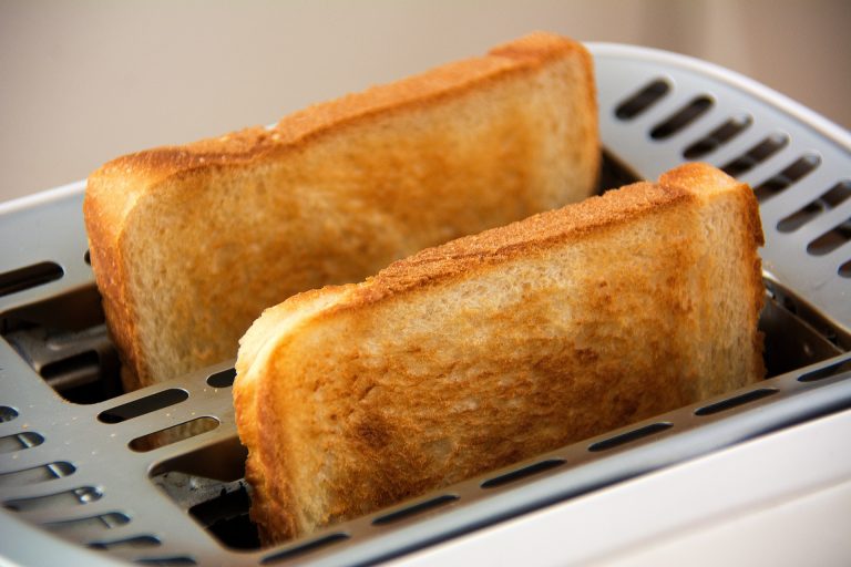 Can Parrots Eat Bread? (Revealed!) Parrot Website